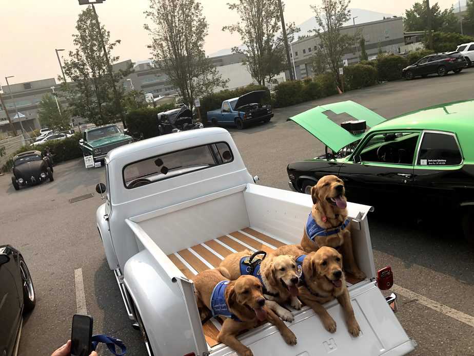 Canine Angels Service Teams Grants Pass Oregon Spirit of the Fair