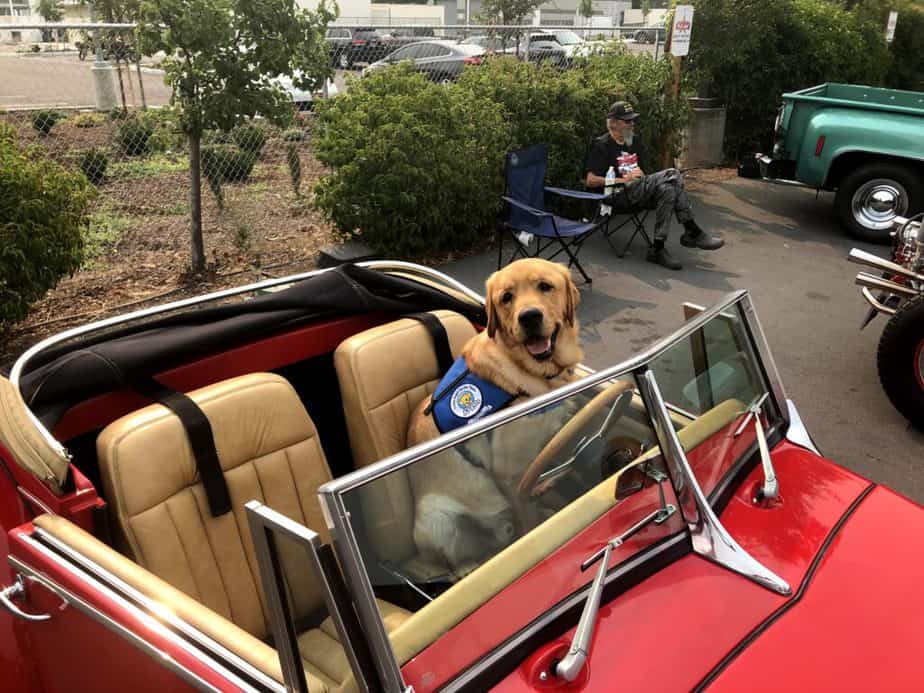 Canine Angels Service Teams 541 Outlaw Car Club Grants Pass Oregon