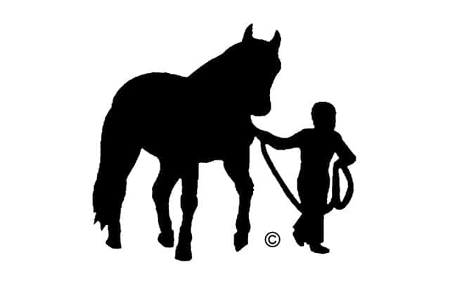 Once Upon A Horse Nonprofit Grants Pass Oregon